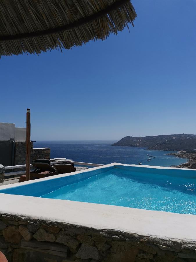 Villa Viktoria In Elia Beach, Mykonos Mykonos Town Zewnętrze zdjęcie