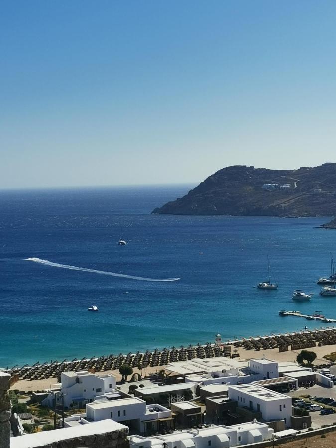 Villa Viktoria In Elia Beach, Mykonos Mykonos Town Zewnętrze zdjęcie